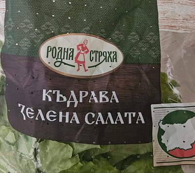 Къдрава зелена салата